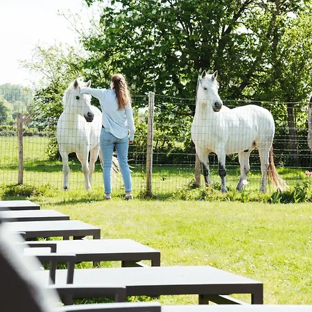 De La Ferme Du Domvoy En Baie De Somme Holiday home *
